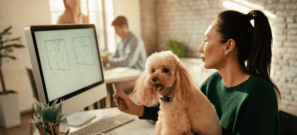 5 Proven Marketing Strategies That Help Pet Sitters Get More Clients